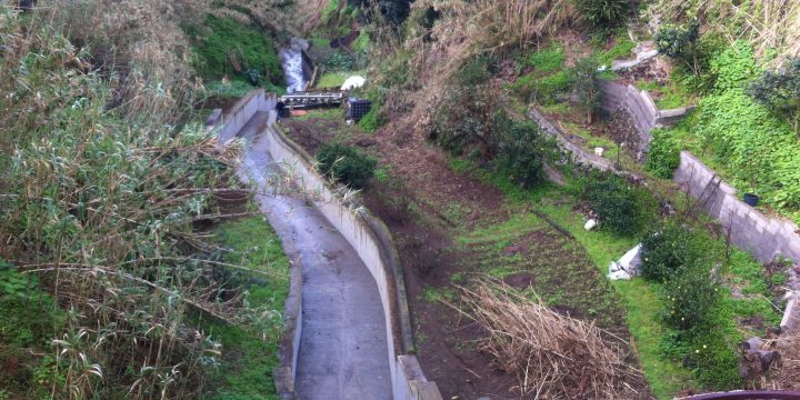 Empreitada de Reperfilamento do Leito e Estabilitação dos Taludes Marginais da Ribeira do Cabo da Vila, Ilha de São Miguel